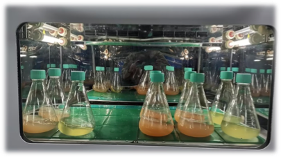 Fermentation equipment